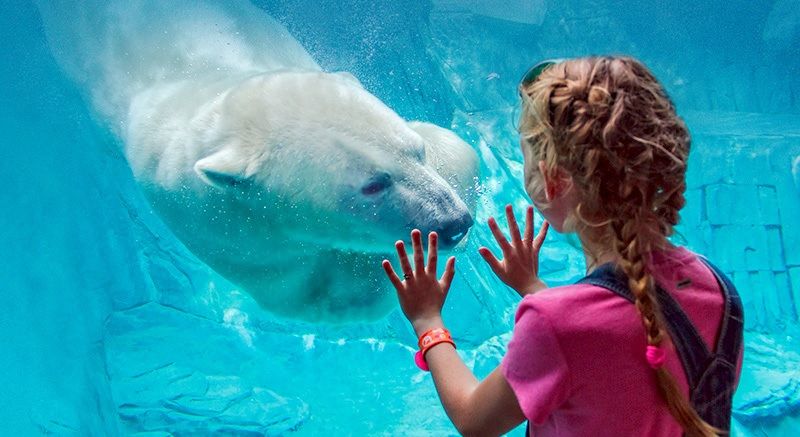 St_Louis_Zoo_2018